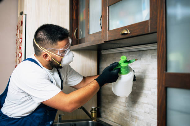 Best Pest Control for Businesses  in Lansing, MI