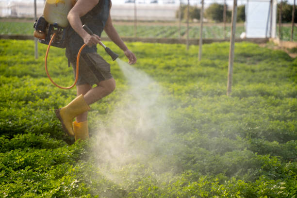 Best Affordable Pest Control Services  in Lansing, MI
