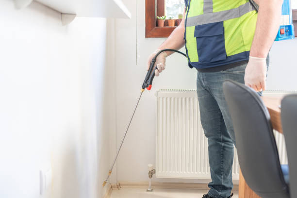 Wasp Removal Services in Lansing, MI