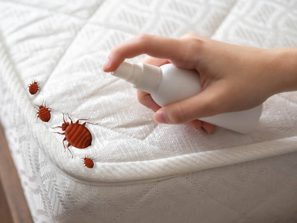 Best Termite Control Services  in Lansing, MI