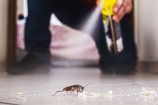 Best Pest Inspection Near Me  in Lansing, MI