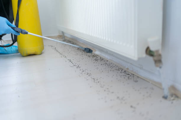 Best Pest Control Near Me  in Lansing, MI