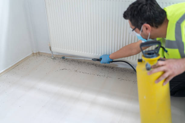 Best Wasp Removal Services  in Lansing, MI