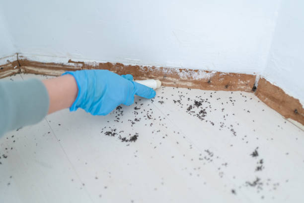 Best Exterminator Services  in Lansing, MI