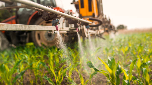 Best Insect Control  in Lansing, MI
